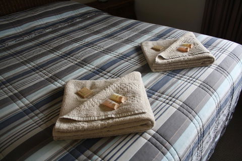Isis Motel Scone - Nambucca Heads Accommodation 3