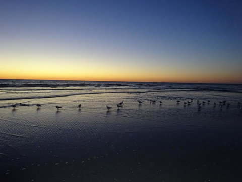 Selene Holiday Apartment @West Beach - Nambucca Heads Accommodation 6