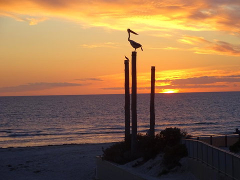 Selene Holiday Apartment @West Beach - Nambucca Heads Accommodation 2