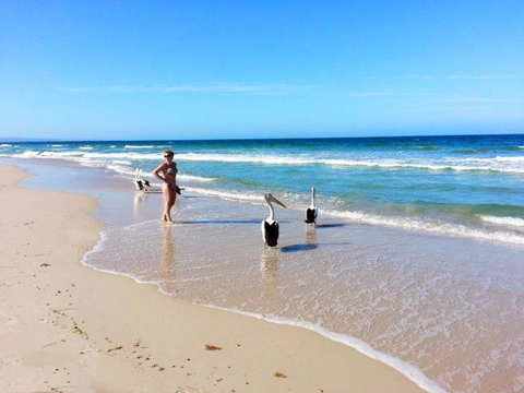 Atlantic West Beach Apartments - Nambucca Heads Accommodation 22