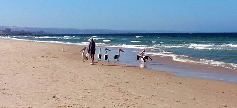 Atlantic West Beach Apartments - Nambucca Heads Accommodation 20