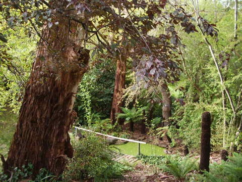 Hilltop - Nambucca Heads Accommodation 13