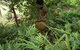 Hilltop - thumb 15