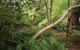 Hilltop - thumb 17