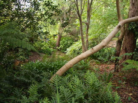 Hilltop - Nambucca Heads Accommodation 17