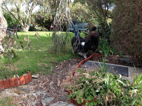 Casuarina Coastal Units - Nambucca Heads Accommodation 29