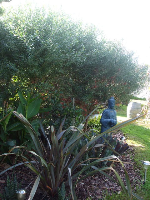 Casuarina Coastal Units - Nambucca Heads Accommodation 16