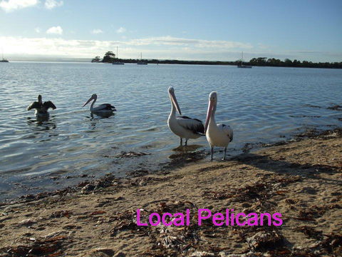 Casuarina Coastal Units - Nambucca Heads Accommodation 23