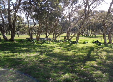 Wenton Farm Holiday Cottages - Nambucca Heads Accommodation 1