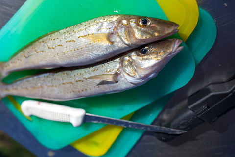 Modra\'s Apartments - Nambucca Heads Accommodation 17