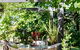 Adelaide Hills Retreats - thumb 27