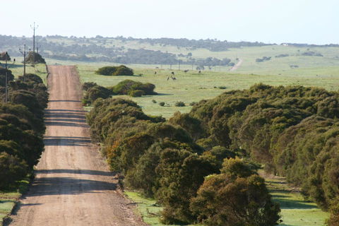 Almonta Park Lodge - Nambucca Heads Accommodation 1