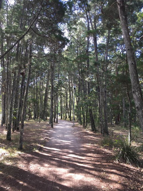 Brunswick Heads Treetop Studio - Nambucca Heads Accommodation 8