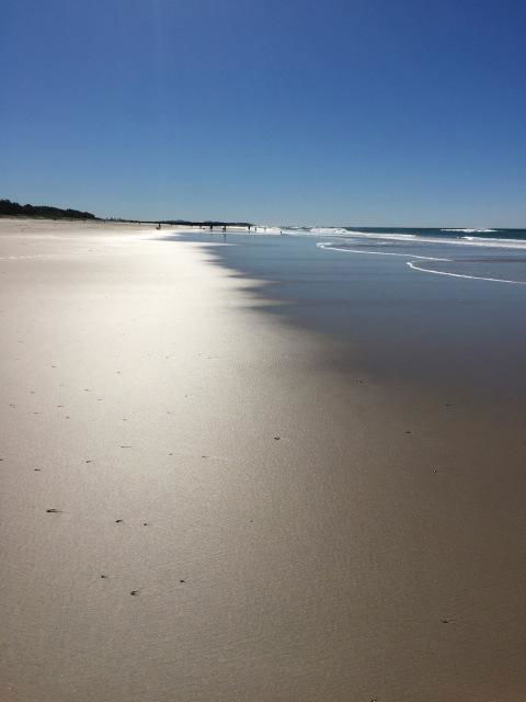 Brunswick Heads Treetop Studio - Nambucca Heads Accommodation 23