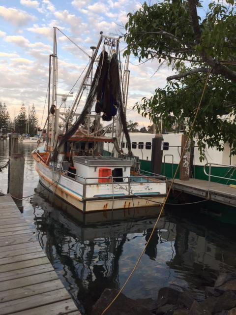 Brunswick Heads Treetop Studio - Nambucca Heads Accommodation 25