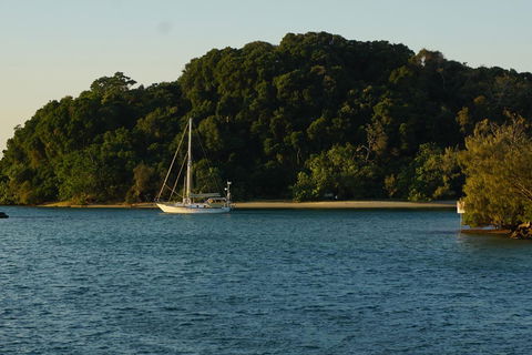 Brunswick Heads Treetop Studio - Nambucca Heads Accommodation 9