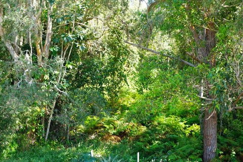 Brunswick Heads Treetop Studio - Nambucca Heads Accommodation 20