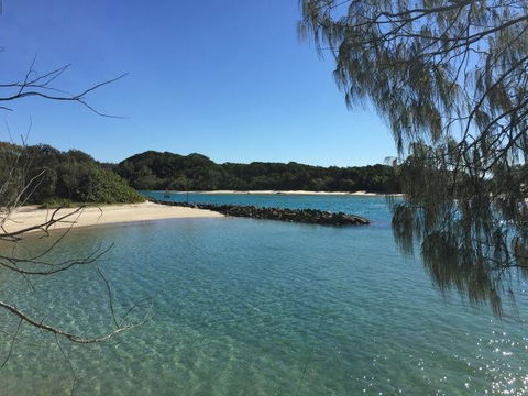 Brunswick Heads Treetop Studio - Nambucca Heads Accommodation 22