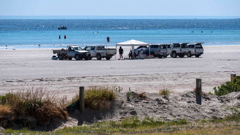Wallaroo Holiday Park - Nambucca Heads Accommodation 9