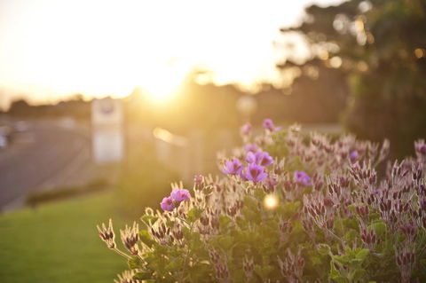 Kangaroo Island Seaside Inn - Nambucca Heads Accommodation 33