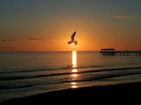 Adelaide Luxury Beach House - Nambucca Heads Accommodation 37