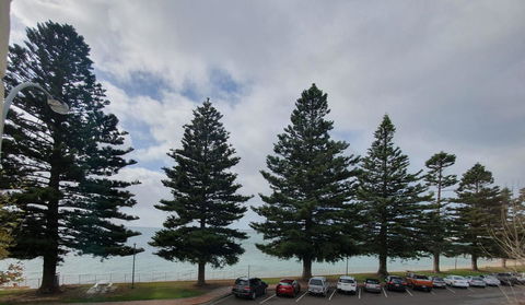 Pier Hotel Port Lincoln - Nambucca Heads Accommodation 12