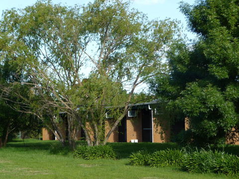 The Wine Vine Hotel - Nambucca Heads Accommodation 18