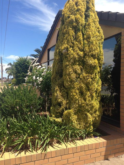 Aviators Lodge - Nambucca Heads Accommodation 9