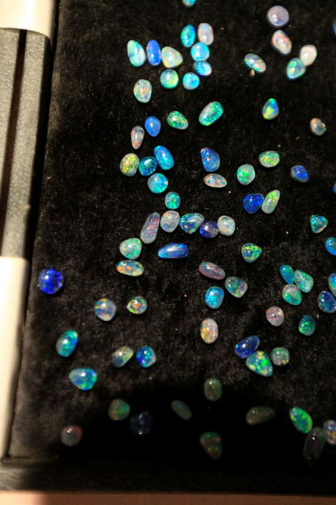 Venushill B+B - Nambucca Heads Accommodation 6