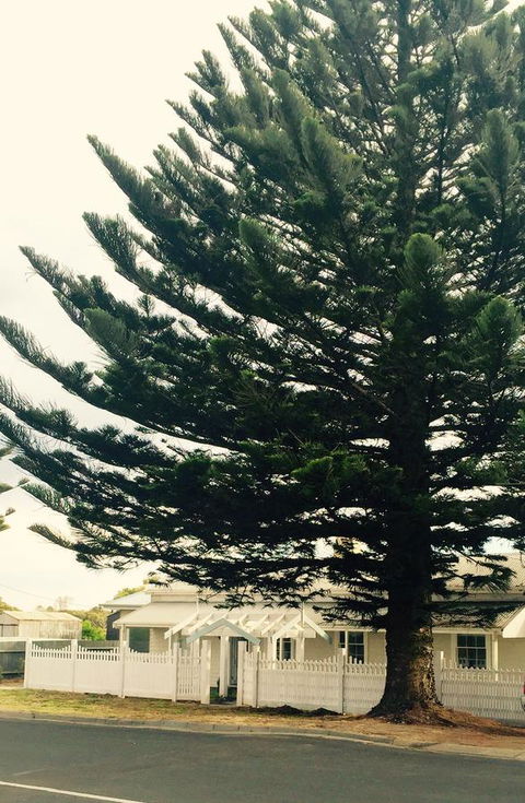 Railway Cottage In Beachport - Nambucca Heads Accommodation 13