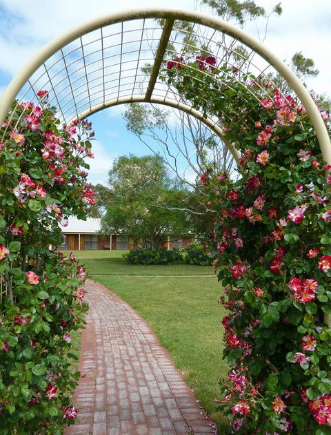 Coonawarra Place Motor Inn - Nambucca Heads Accommodation 20