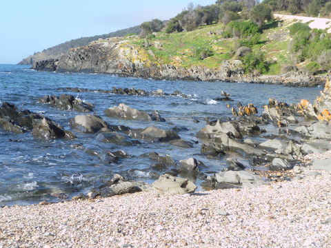 Ashendens At Penneshaw - Nambucca Heads Accommodation 2