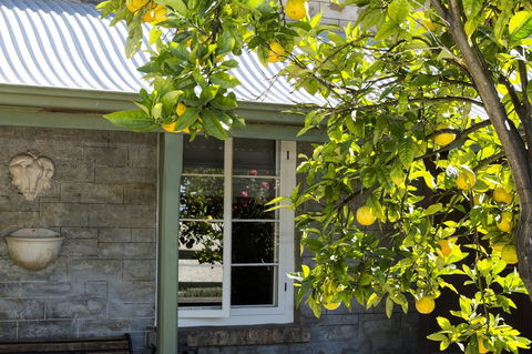 Grand Cru Estate Homestead - Nambucca Heads Accommodation 10