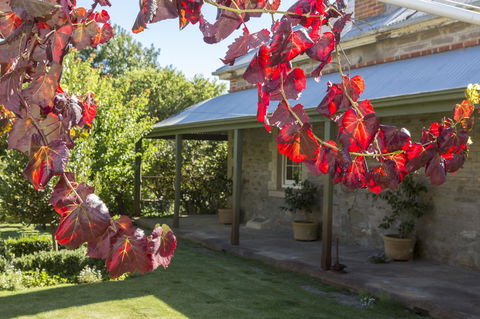 Grand Cru Estate Homestead - Nambucca Heads Accommodation 0