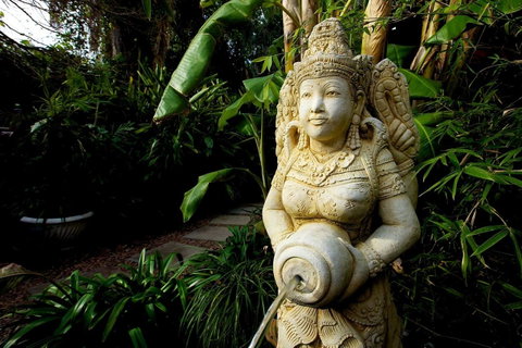 The Lotus Eater - Nambucca Heads Accommodation 18