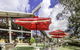 Mannum Motel - thumb 1