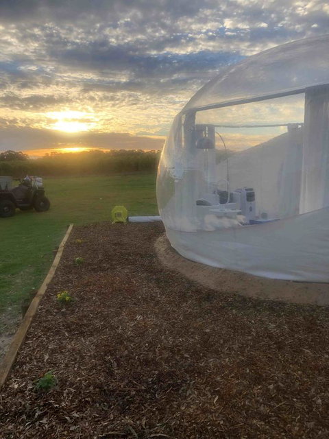 Coonawarra Bubble Tents - Nambucca Heads Accommodation 6