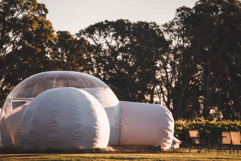 Coonawarra Bubble Tents - Nambucca Heads Accommodation 14