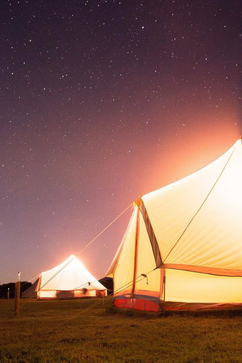 Coonawarra Bubble Tents - Nambucca Heads Accommodation 7