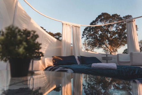 Coonawarra Bubble Tents - Nambucca Heads Accommodation 12