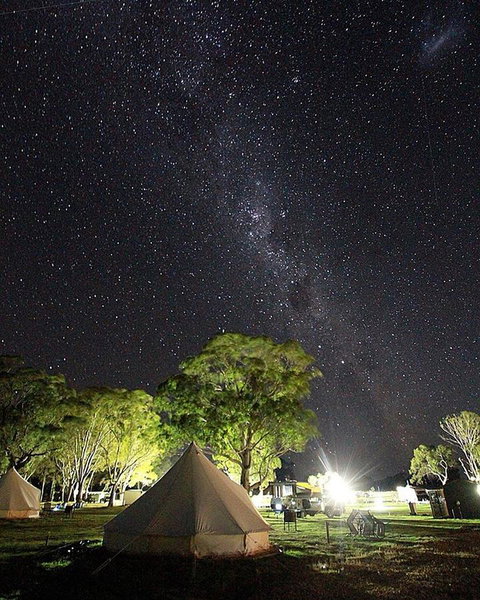 Coonawarra Bubble Tents - Nambucca Heads Accommodation 9