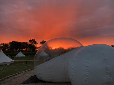 Coonawarra Bubble Tents - Nambucca Heads Accommodation 0