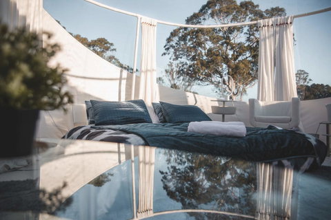 Coonawarra Bubble Tents - Nambucca Heads Accommodation 2