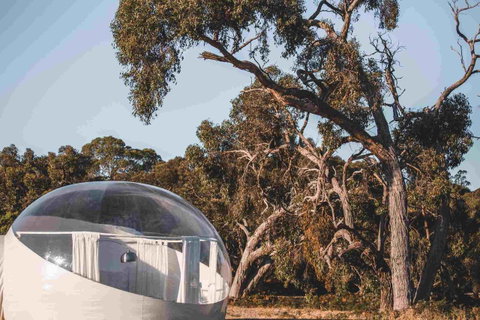 Coonawarra Bubble Tents - Nambucca Heads Accommodation 10