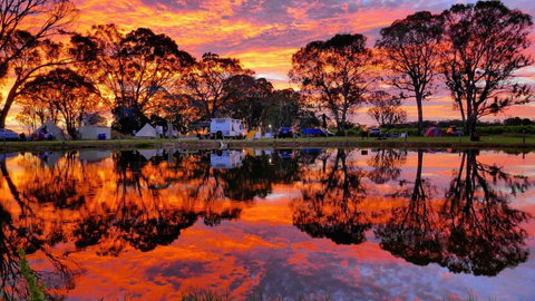 Coonawarra Bubble Tents - Nambucca Heads Accommodation 3
