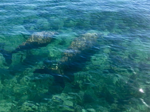 Escape 2 Exmouth - Nambucca Heads Accommodation 28