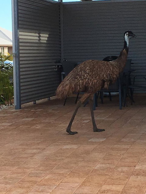 Escape 2 Exmouth - Nambucca Heads Accommodation 15