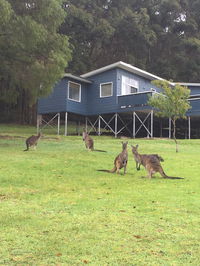 Book Denmark Accommodation Vacations Nambucca Heads Accommodation Nambucca Heads Accommodation