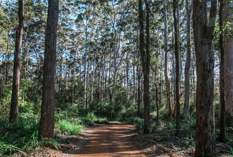 The Floating Forest - Nambucca Heads Accommodation 37