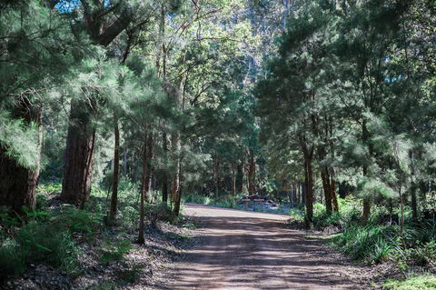 The Floating Forest - Nambucca Heads Accommodation 30